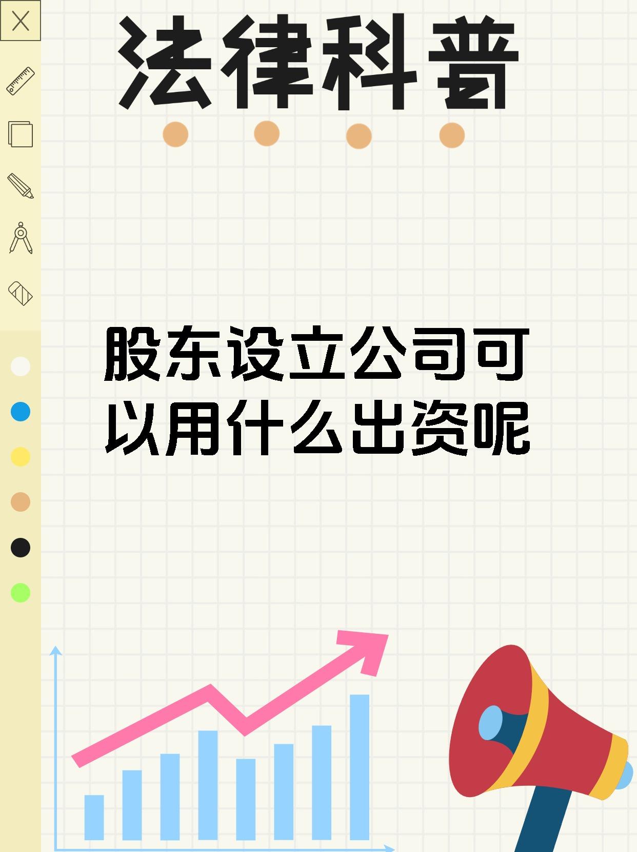股东设立公司可以用什么出资呢