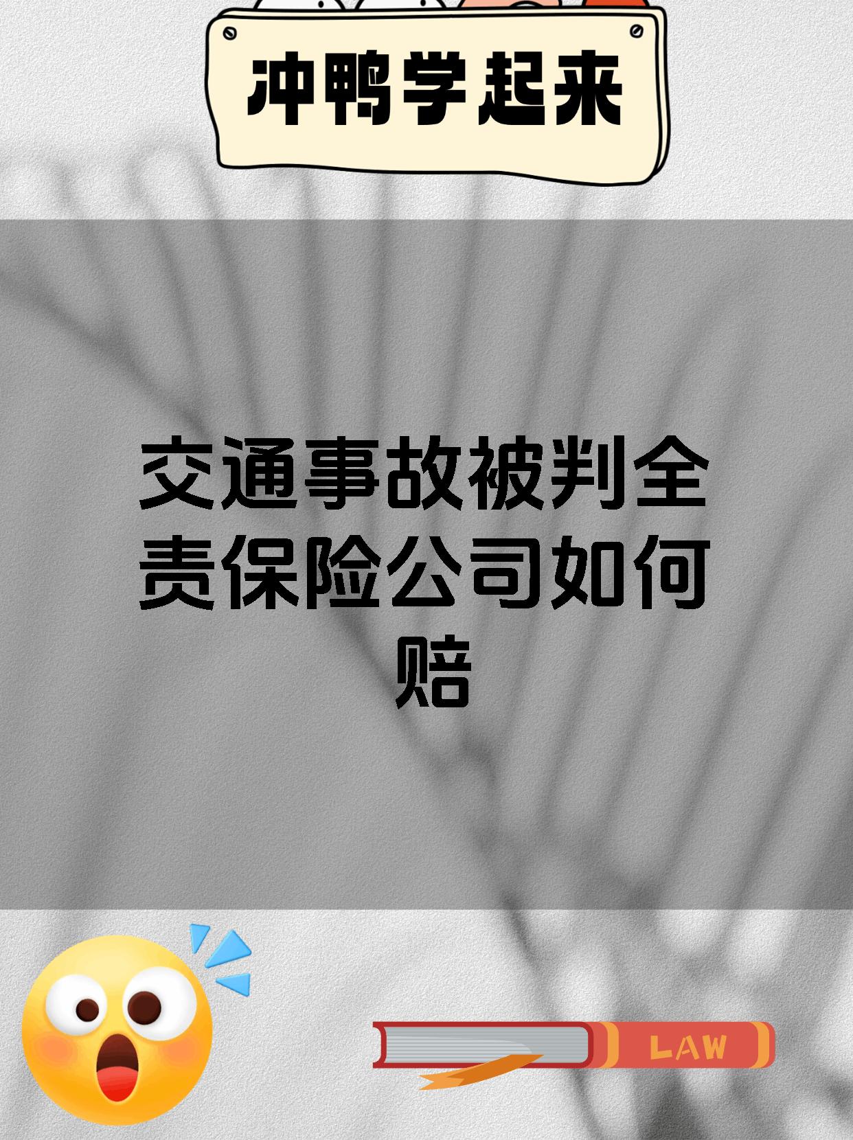 交通事故被判全责保险公司如何赔