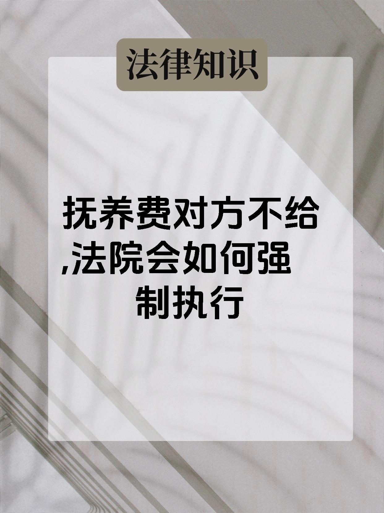 抚养费对方不给,法院会如何强制执行