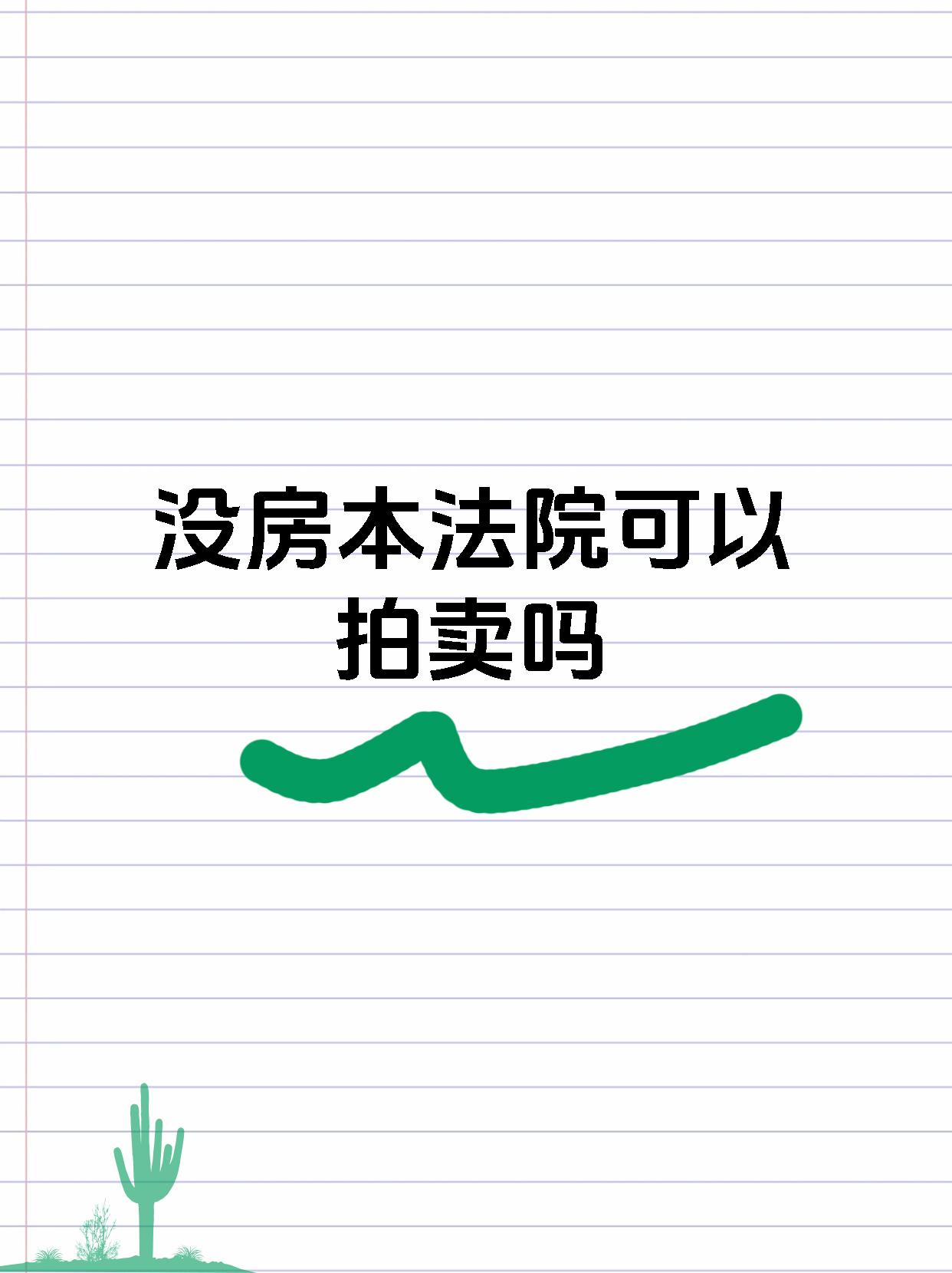 没房本法院可以拍卖吗