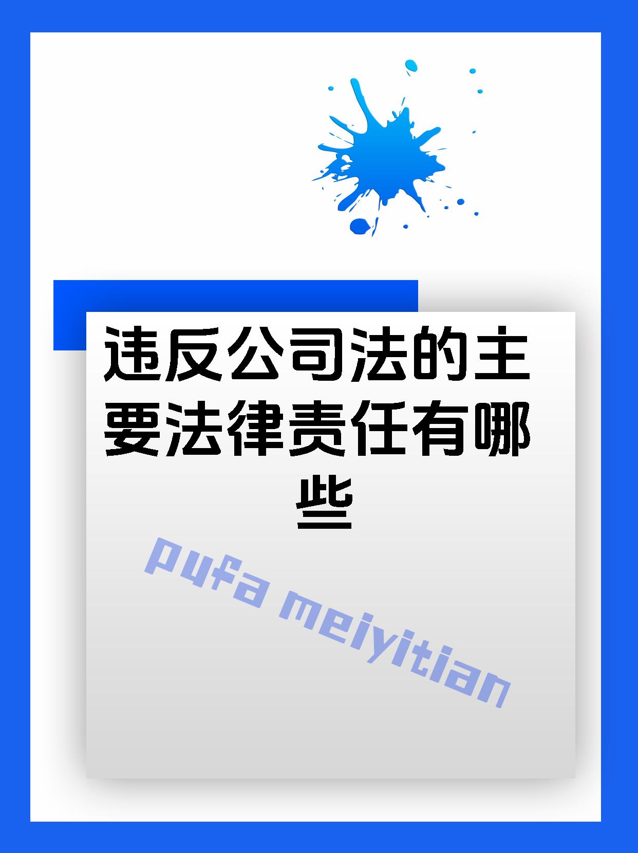违反公司法的主要法律责任有哪些
