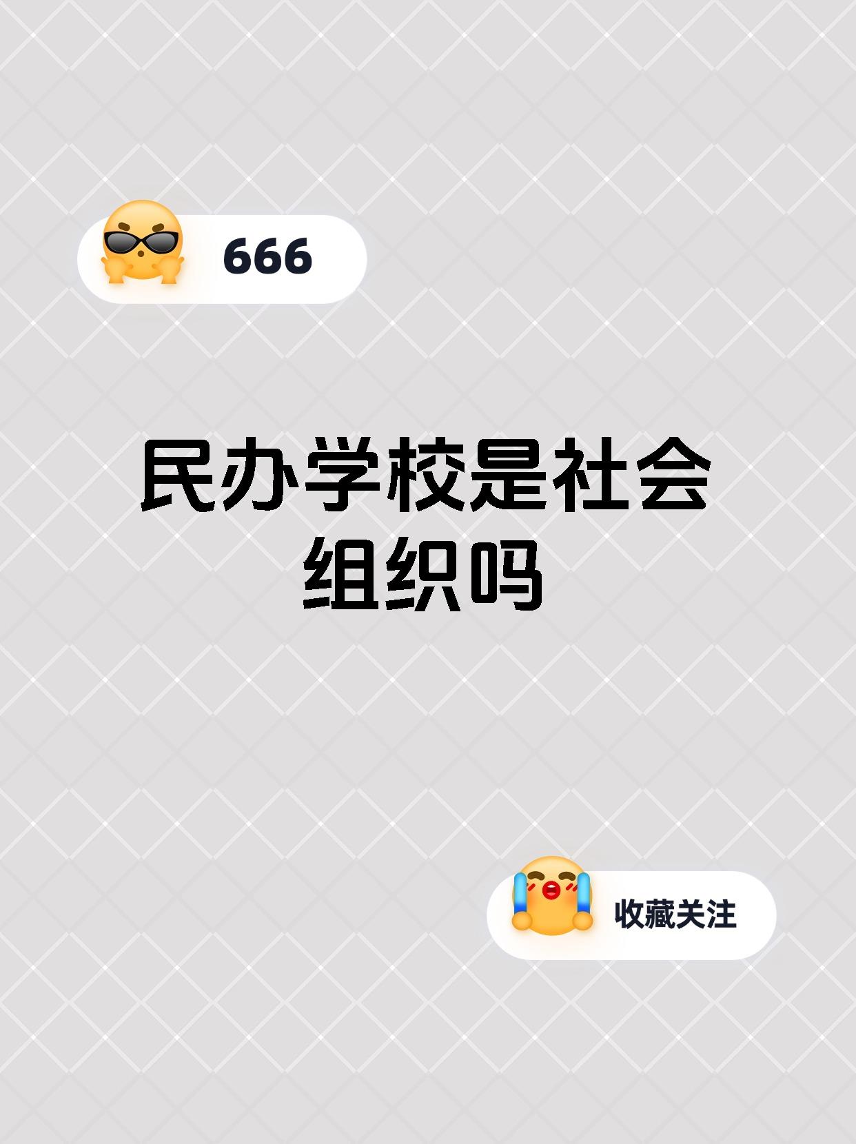 民办学校是社会组织吗
