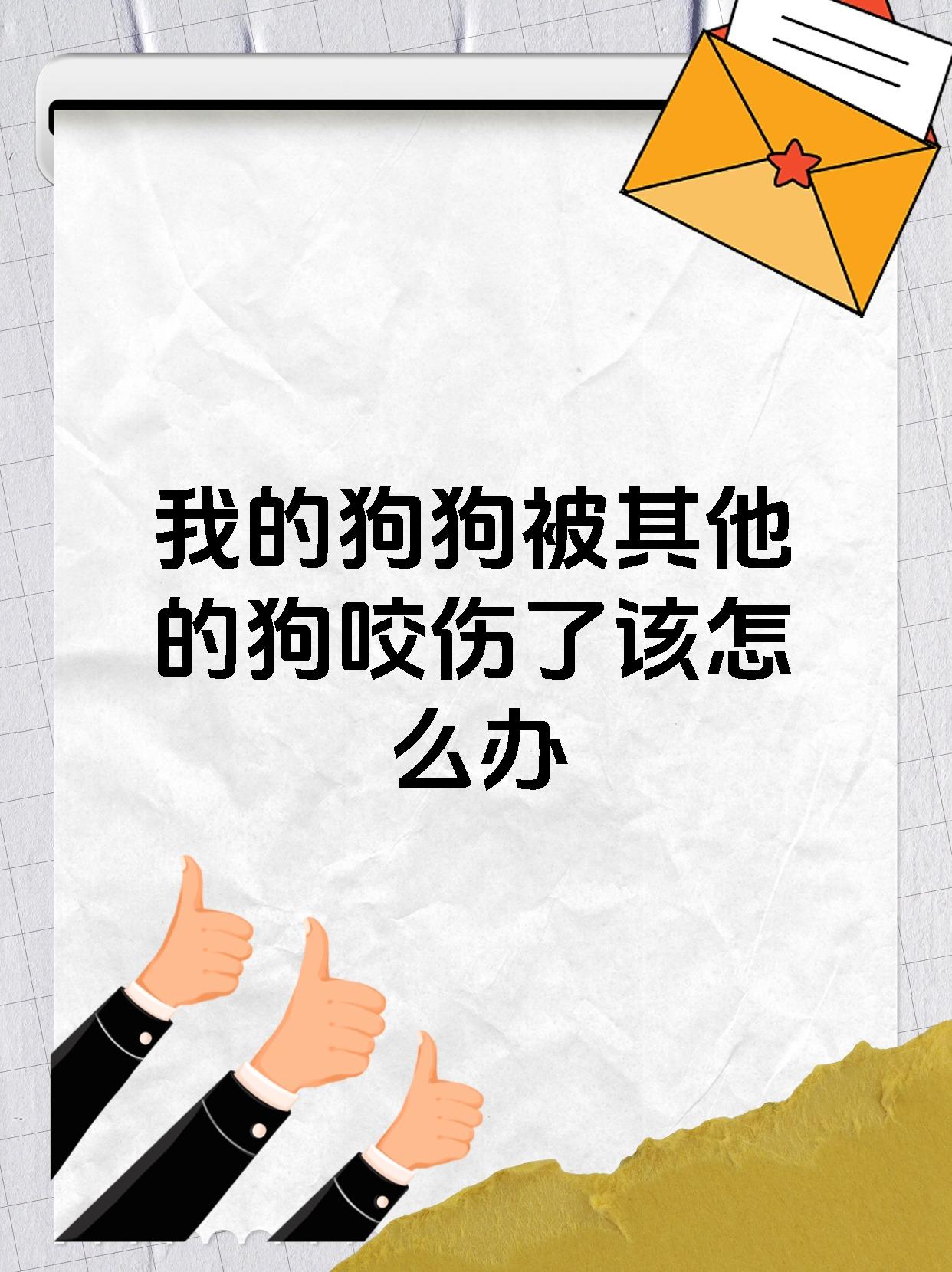 我的狗狗被其他的狗咬伤了该怎么办