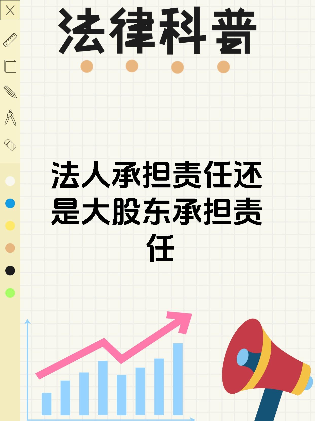 法人承担责任还是大股东承担责任