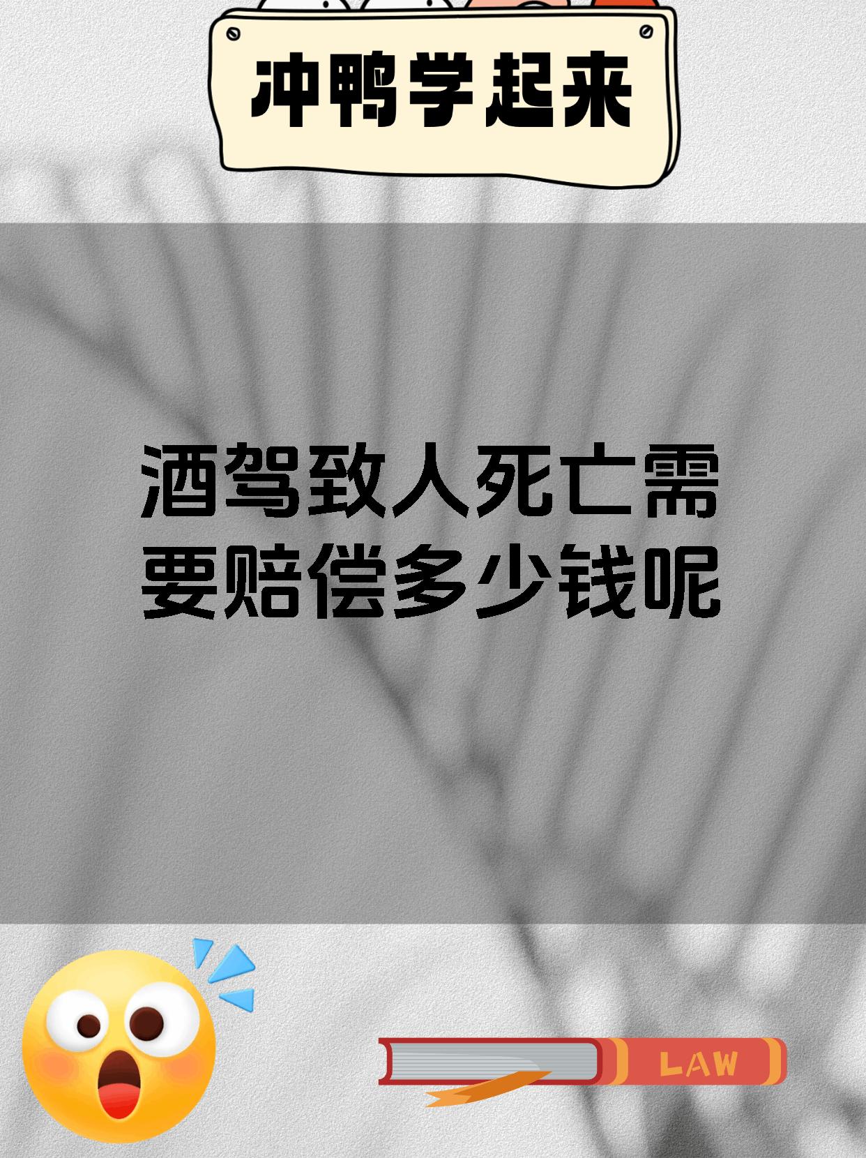 酒驾致人死亡需要赔偿多少钱呢