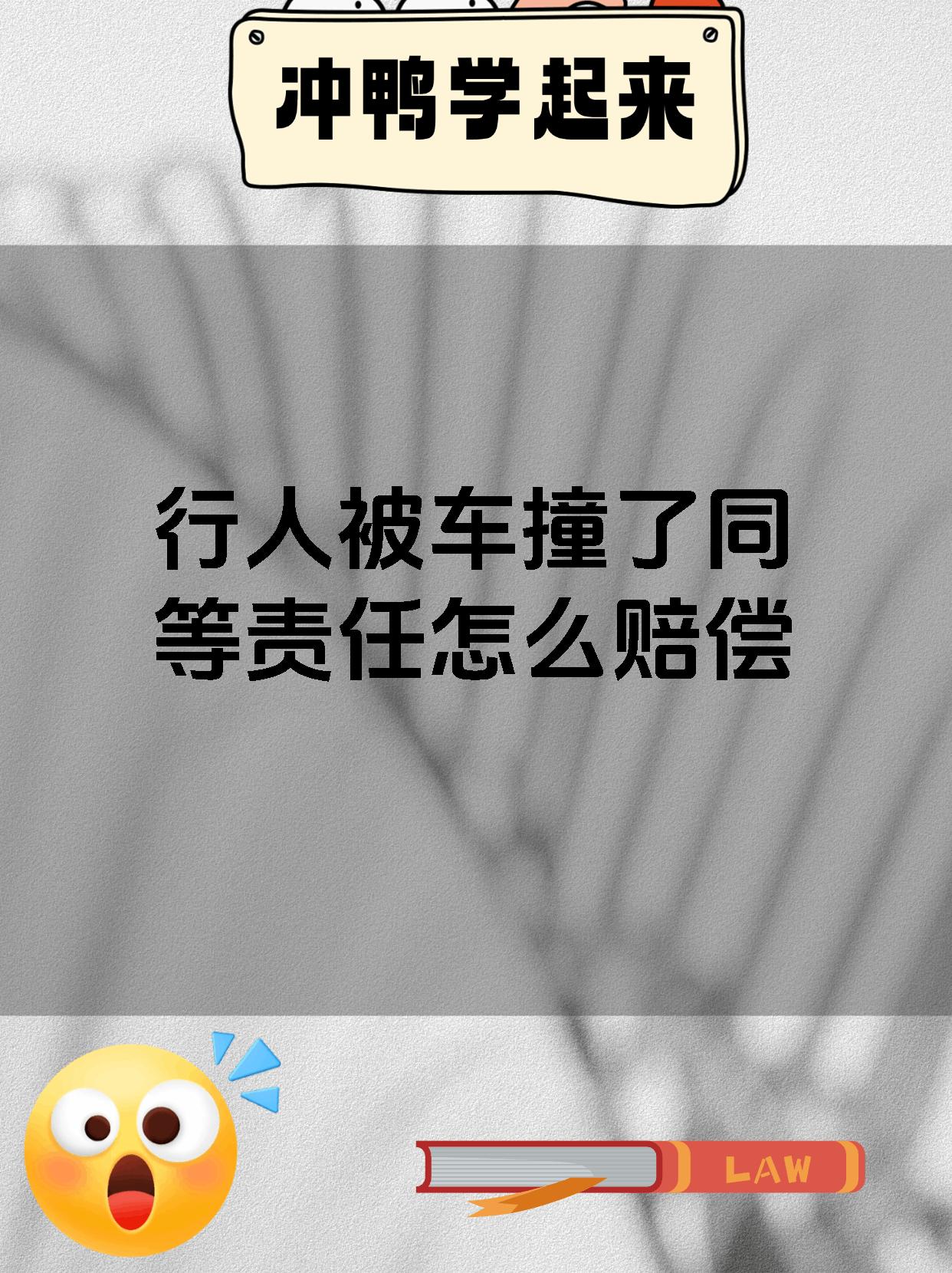 行人被车撞了同等责任怎么赔偿