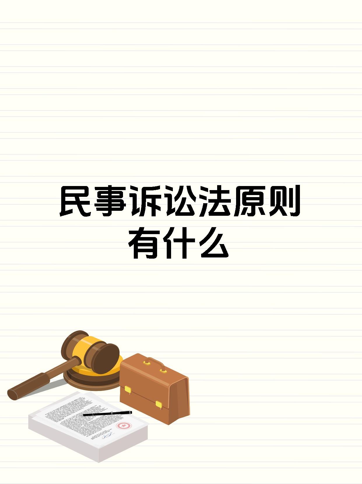 民事诉讼法原则有什么