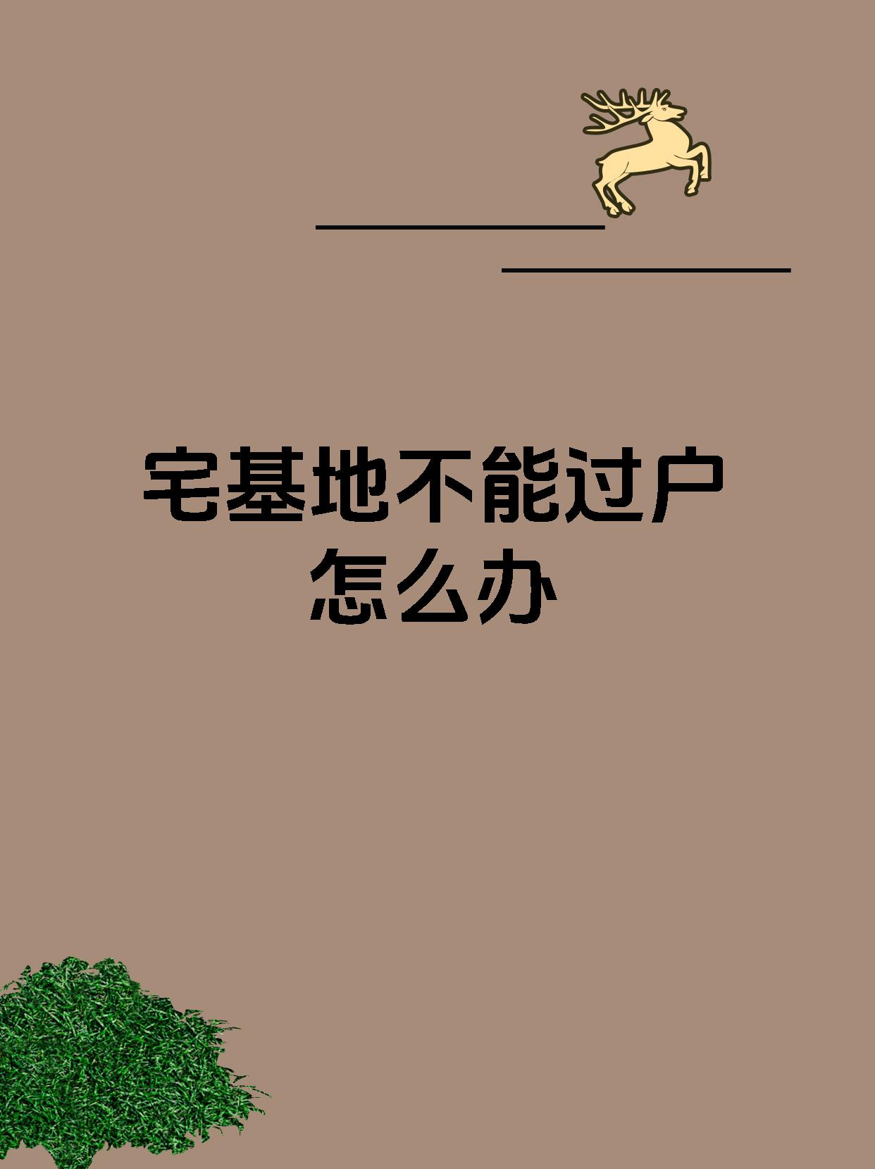 宅基地不能过户怎么办