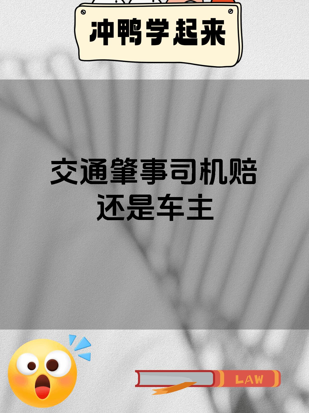 交通肇事司机赔还是车主