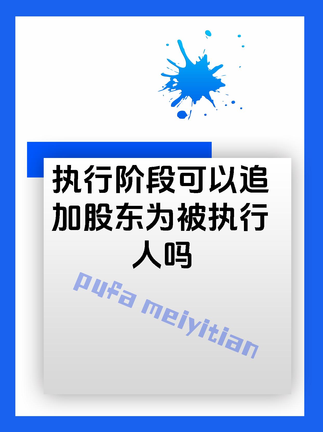 执行阶段可以追加股东为被执行人吗