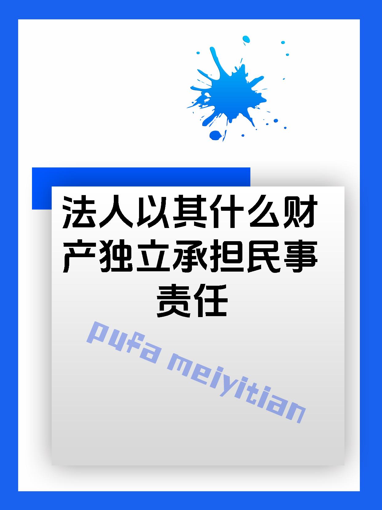 法人以其什么财产独立承担民事责任