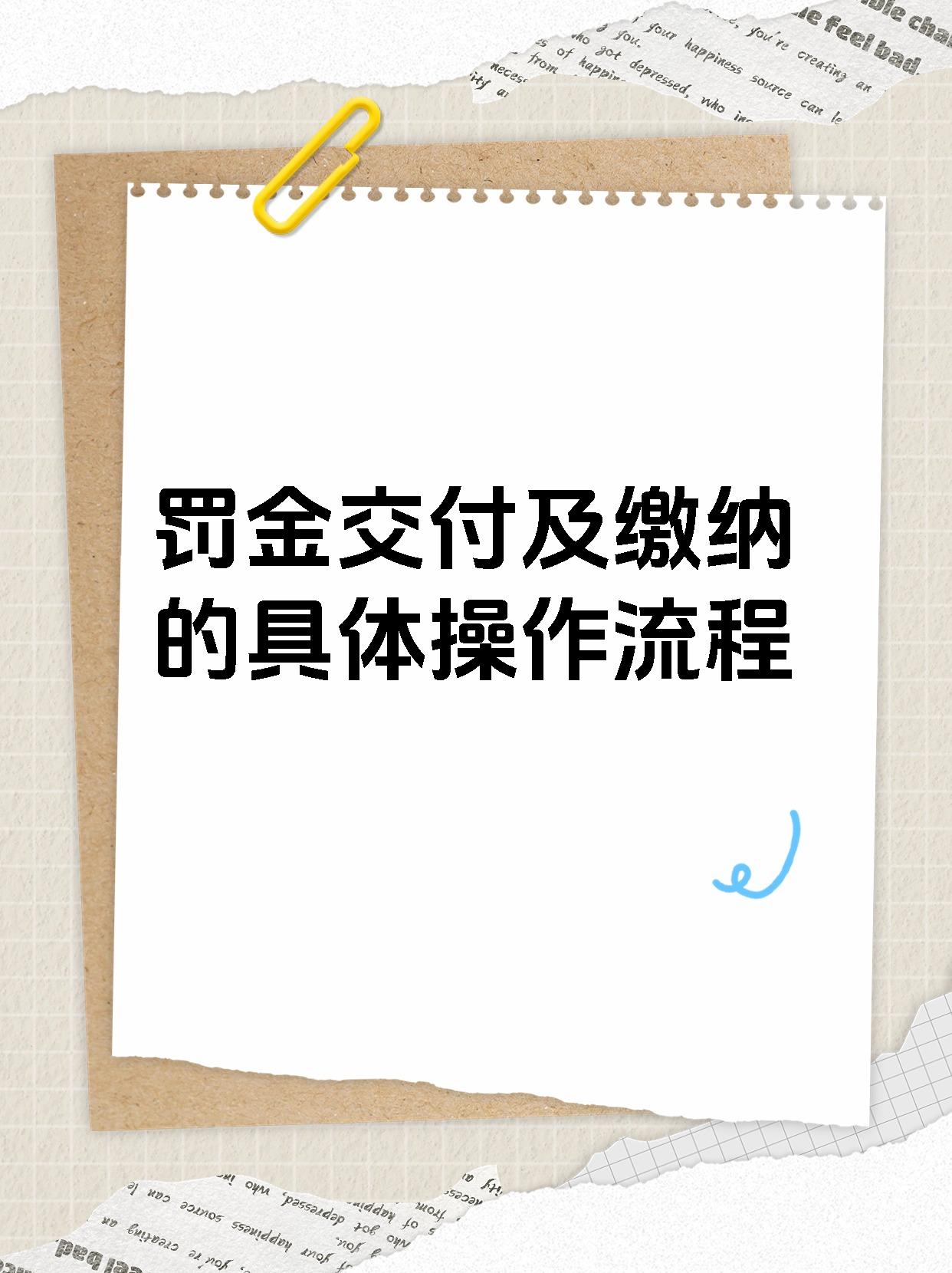 罚金交付及缴纳的具体操作流程