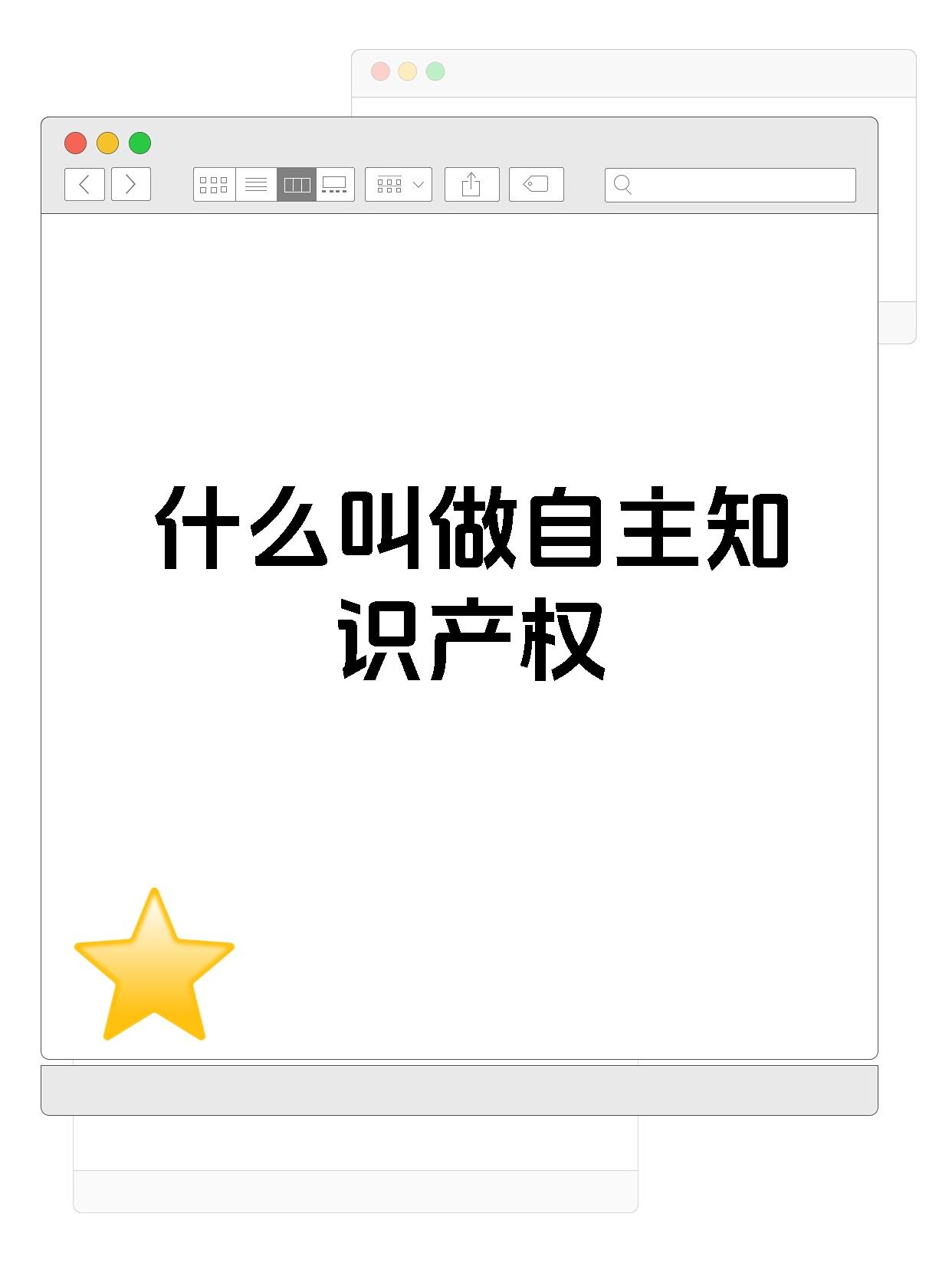 什么叫做自主知识产权
