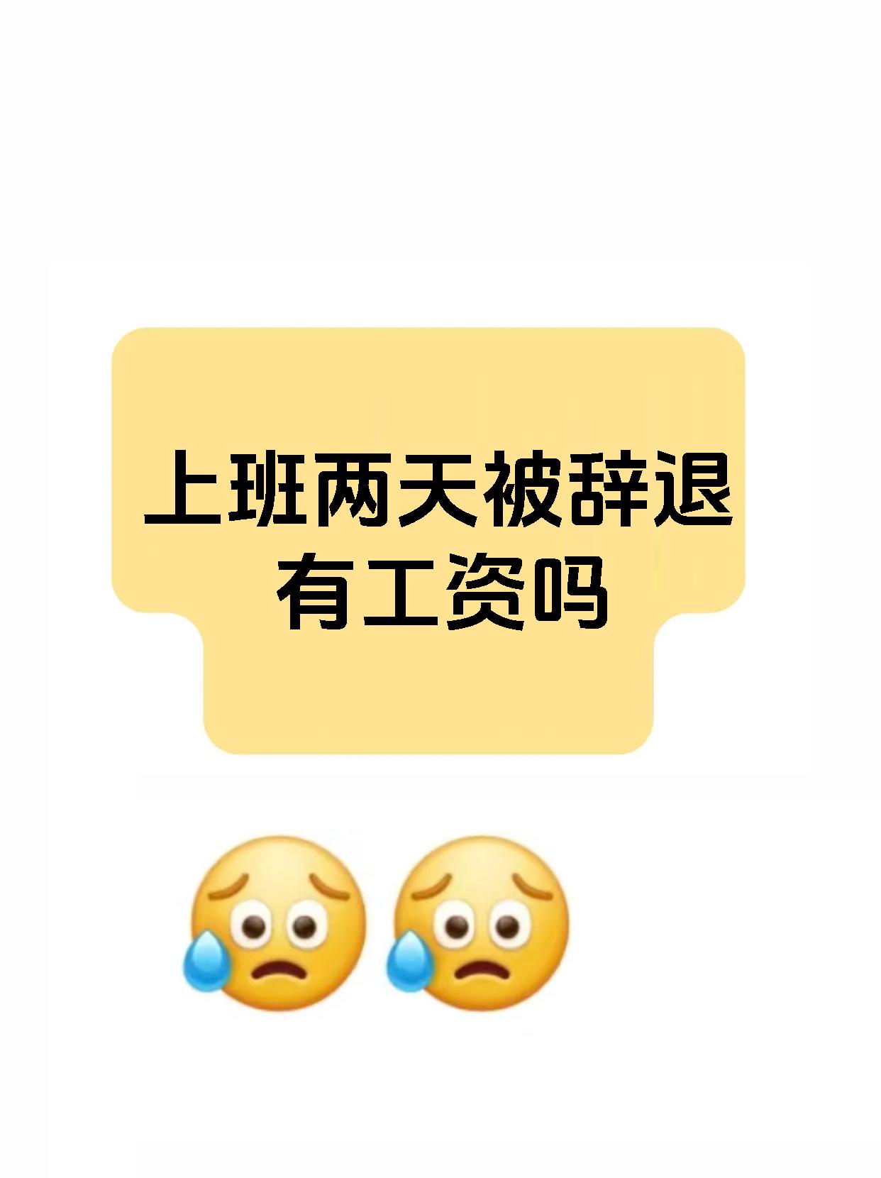 上班两天被辞退有工资吗