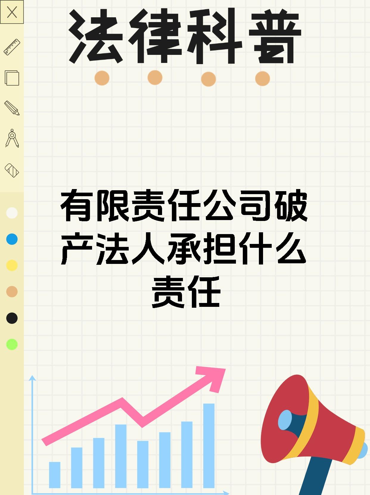 有限责任公司破产法人承担什么责任