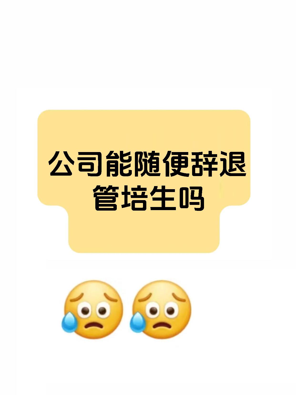 公司能随便辞退管培生吗