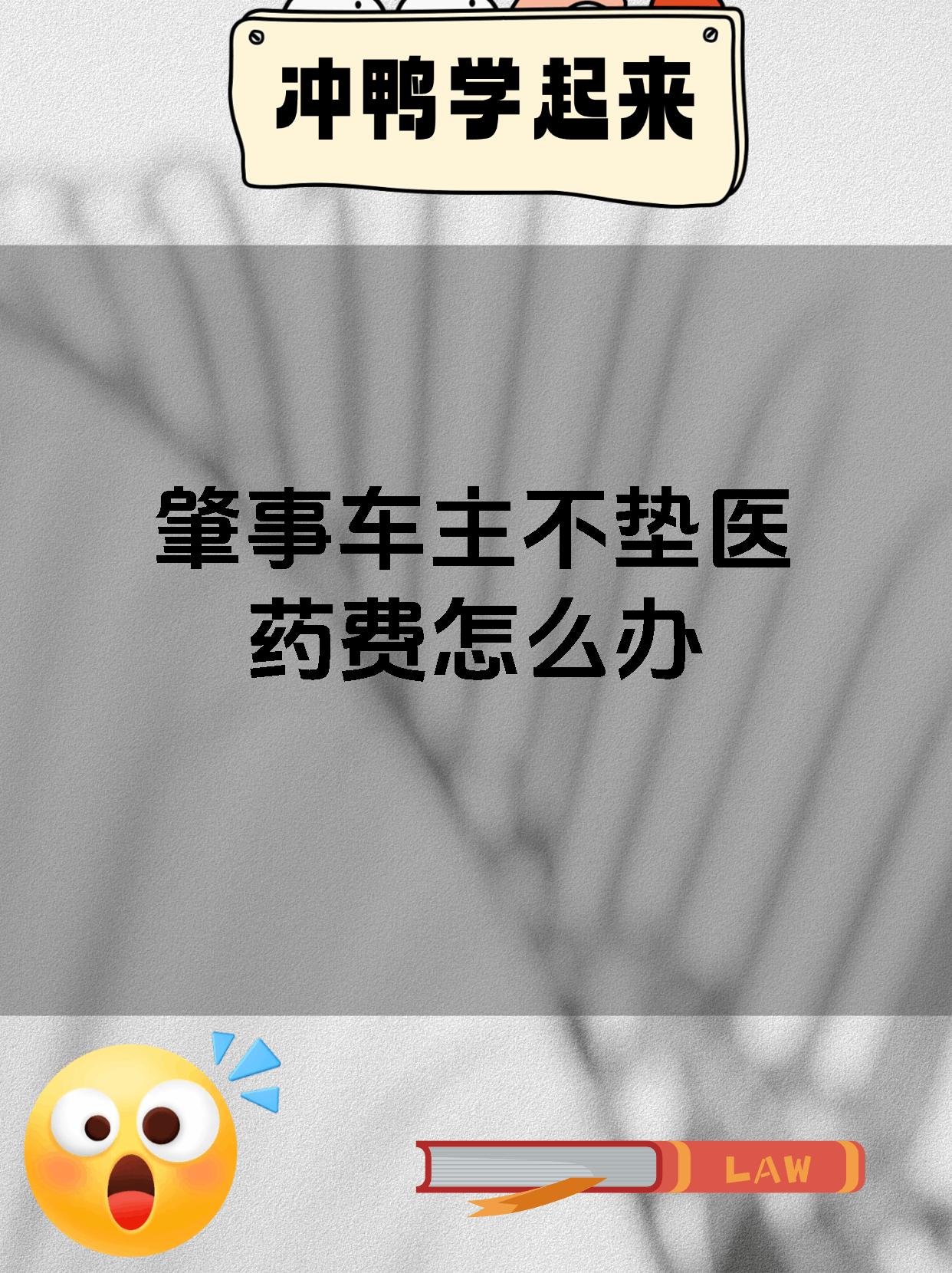 肇事车主不垫医药费怎么办