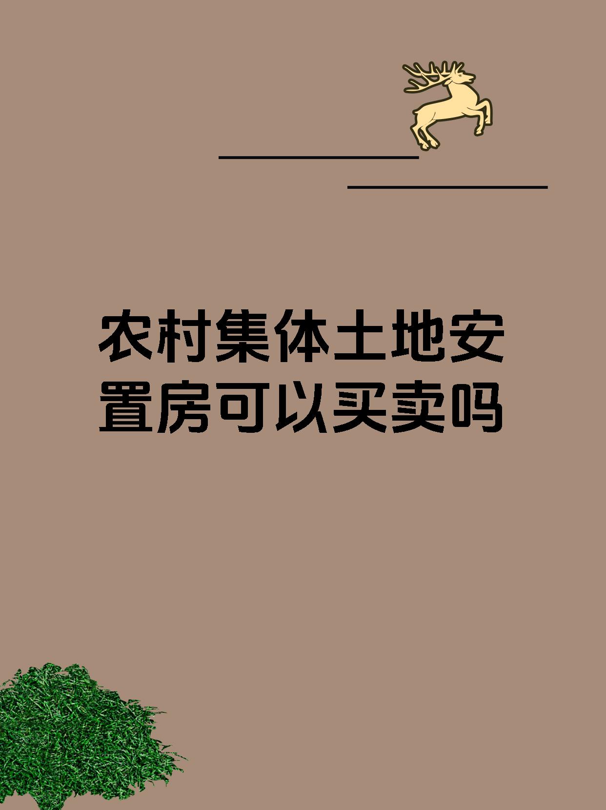 农村集体土地安置房可以买卖吗