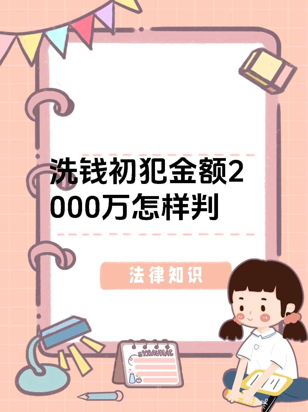 洗钱初犯金额2000万怎样判