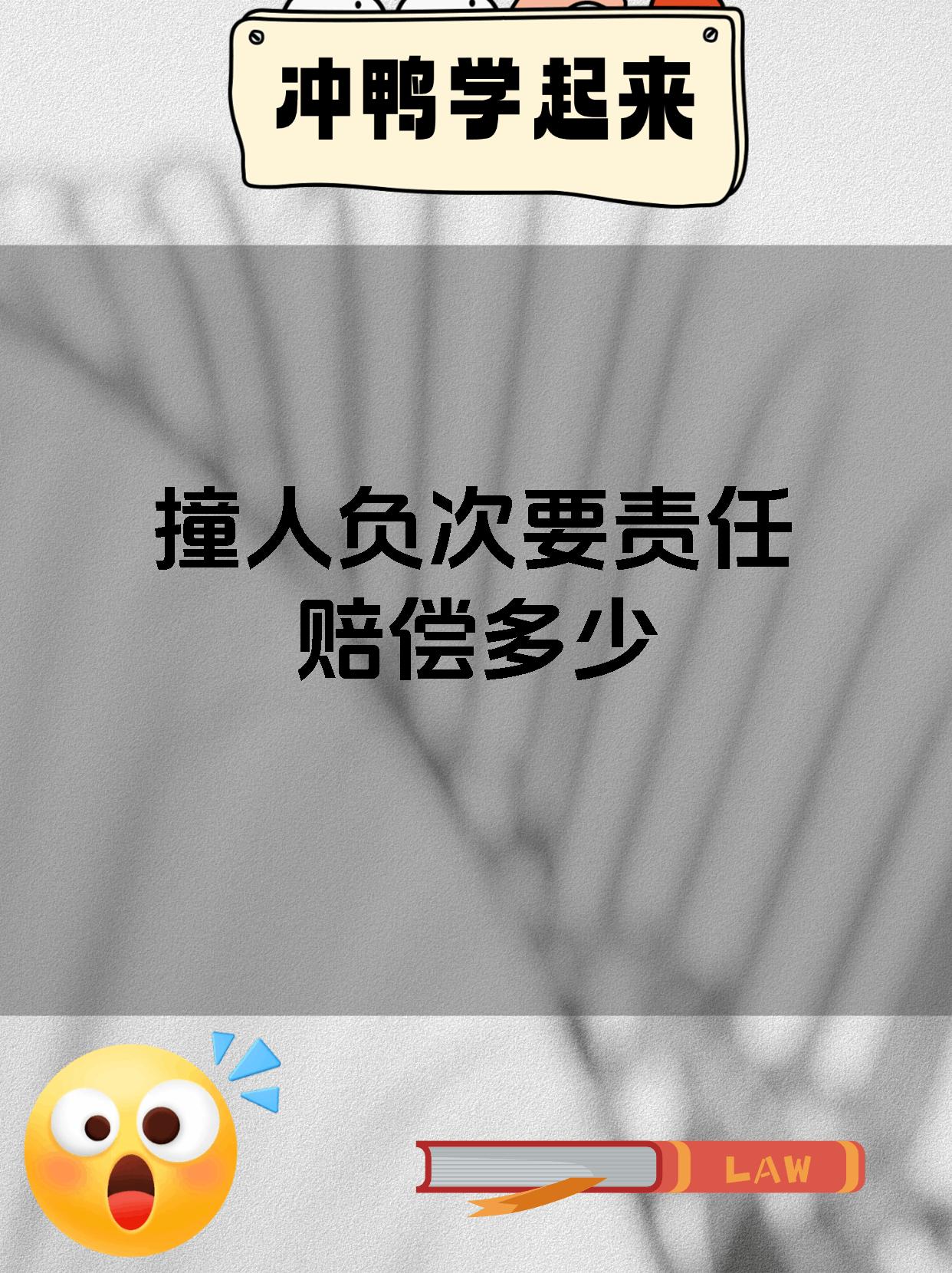 撞人负次要责任赔偿多少