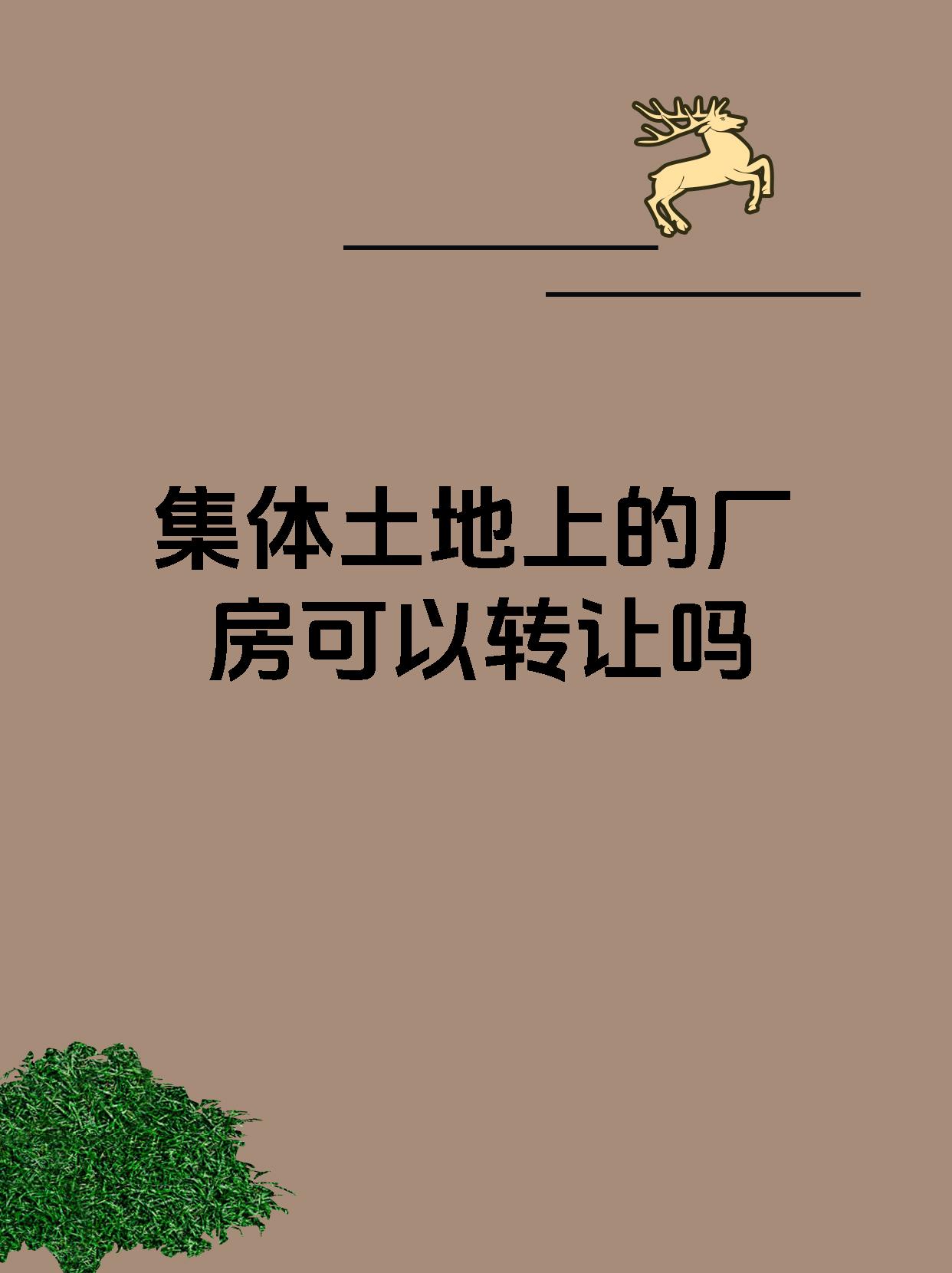 集体土地上的厂房可以转让吗